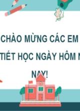 Bài giảng Toán Lớp 7 (Sách Kết nối tri thức) - Luyện tập chung (Trang 5) - Năm học 2022-2023